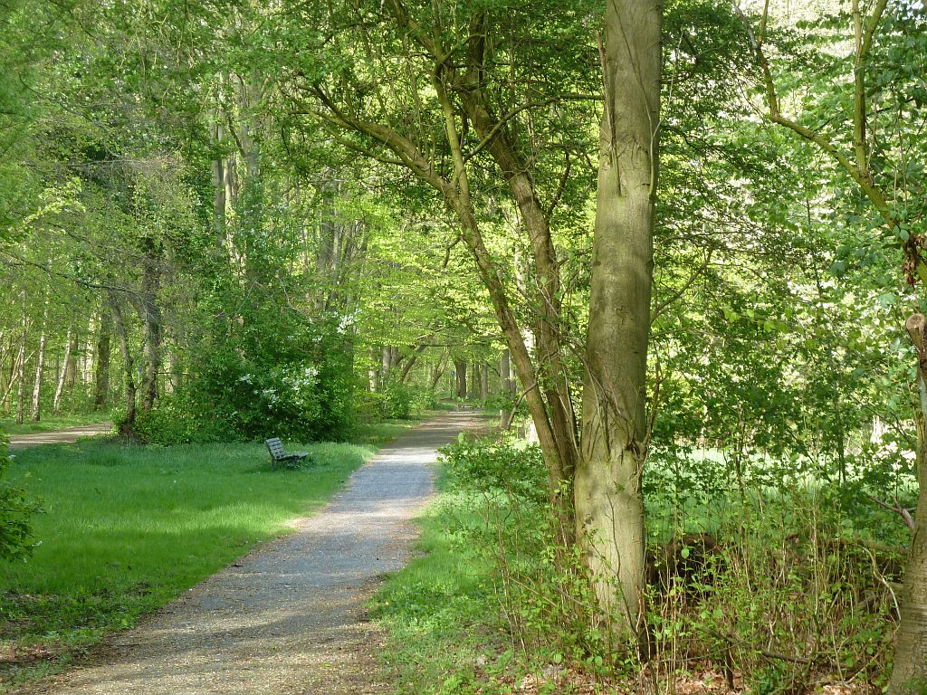 Vlakbij de Nieuwe Meerweg - Amsterdam