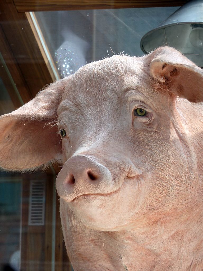 ArtZuid 2013 - Amsterdam