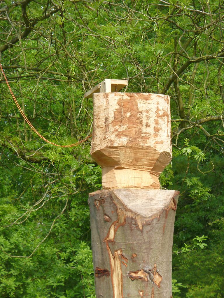 Kunstroute NKvB Natuurlijk - Houten klok op stam - Amsterdam