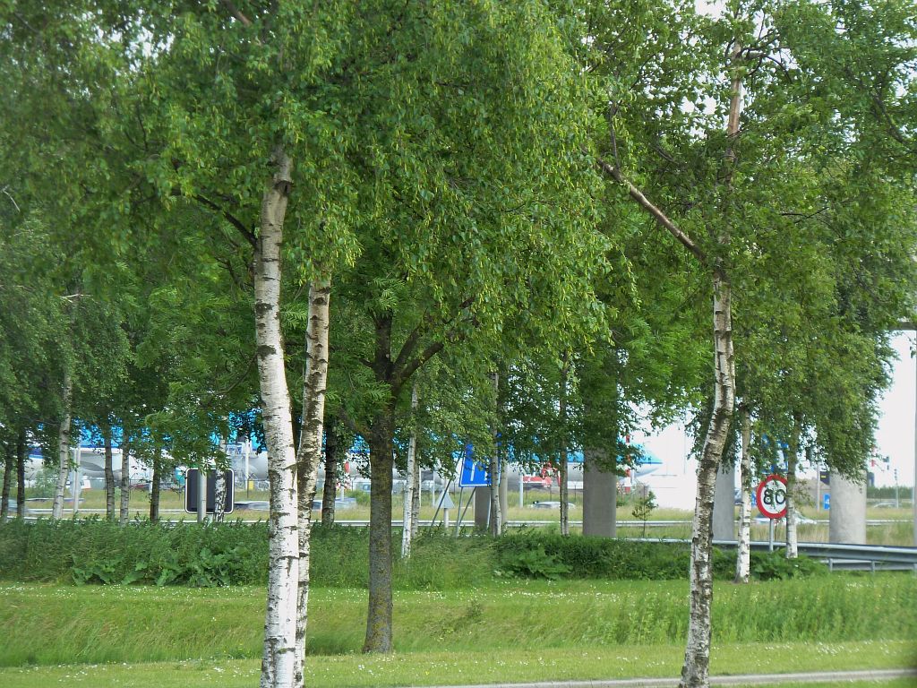 Westelijke Randweg - Amsterdam