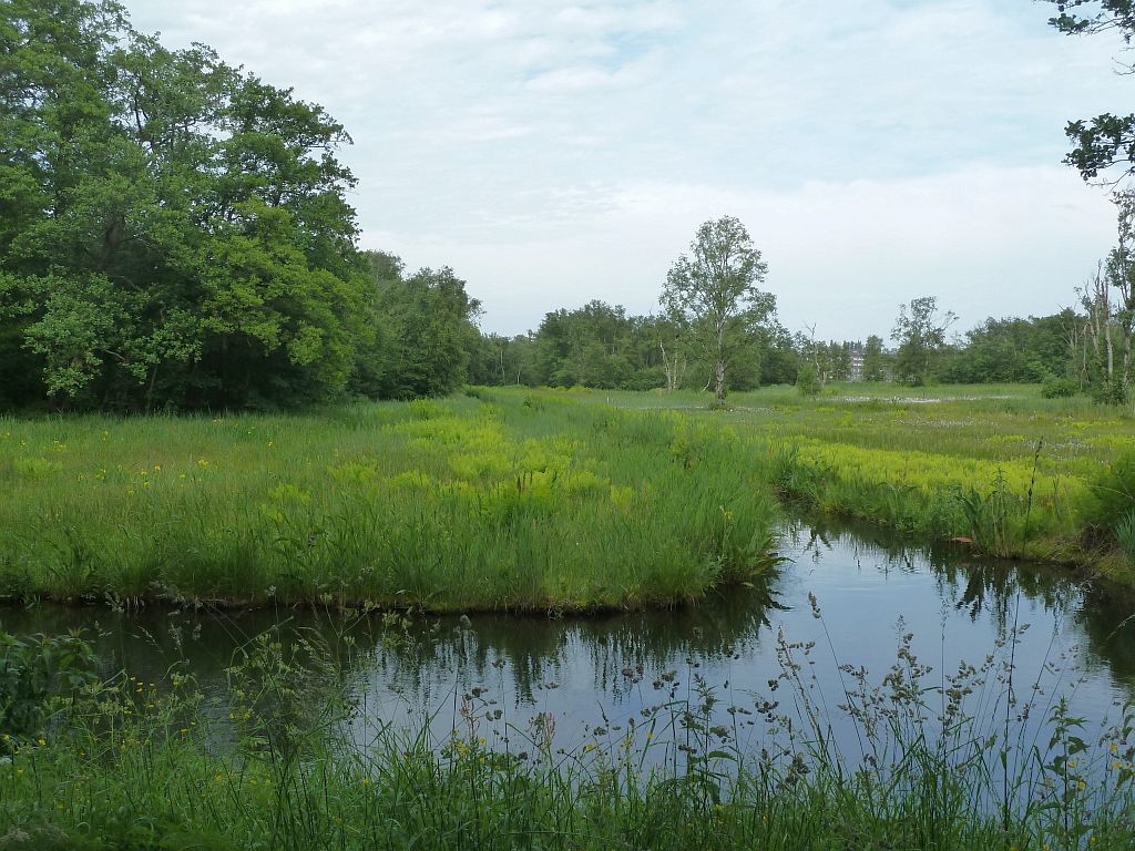 Oeverlanden De Poel - Amsterdam