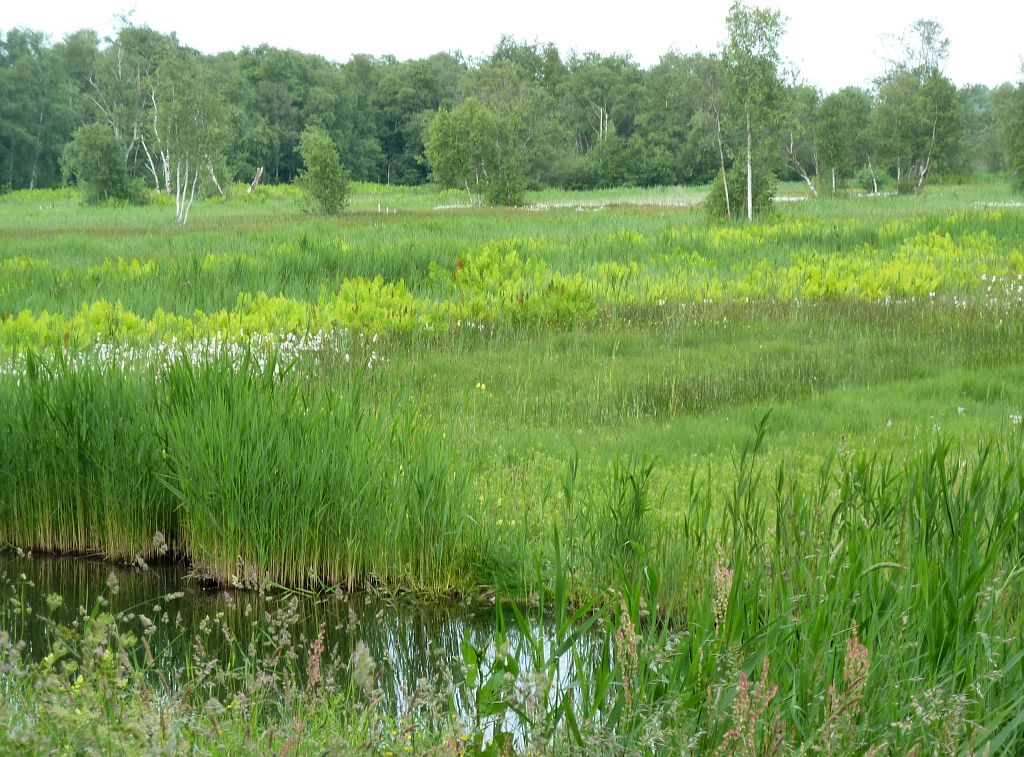 Oeverlanden De Poel - Amsterdam
