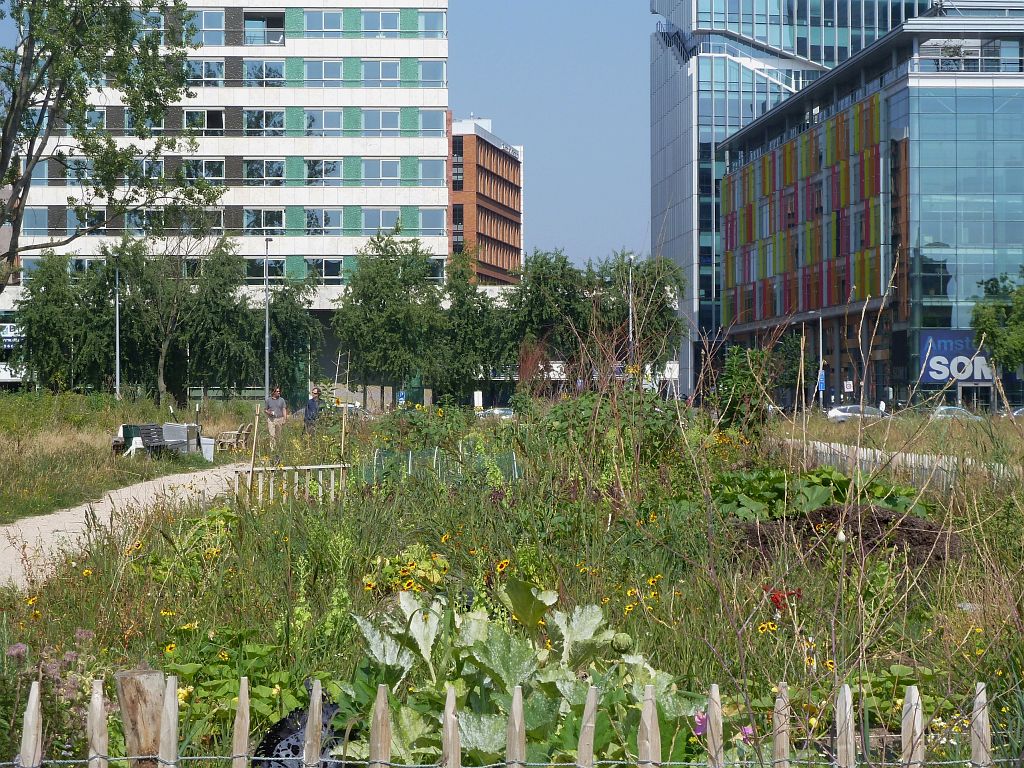 Tijdelijk Park Zuidas - Amsterdam