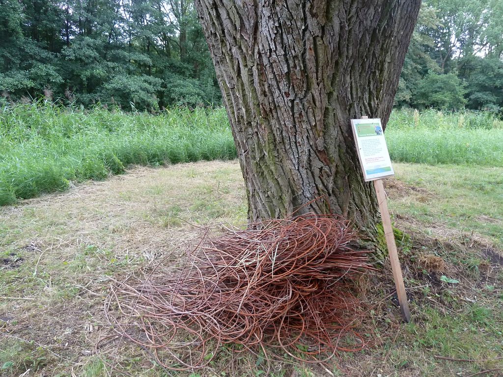 Kunstroute NKvB Natuurlijk - Drawing in the Willows - Amsterdam