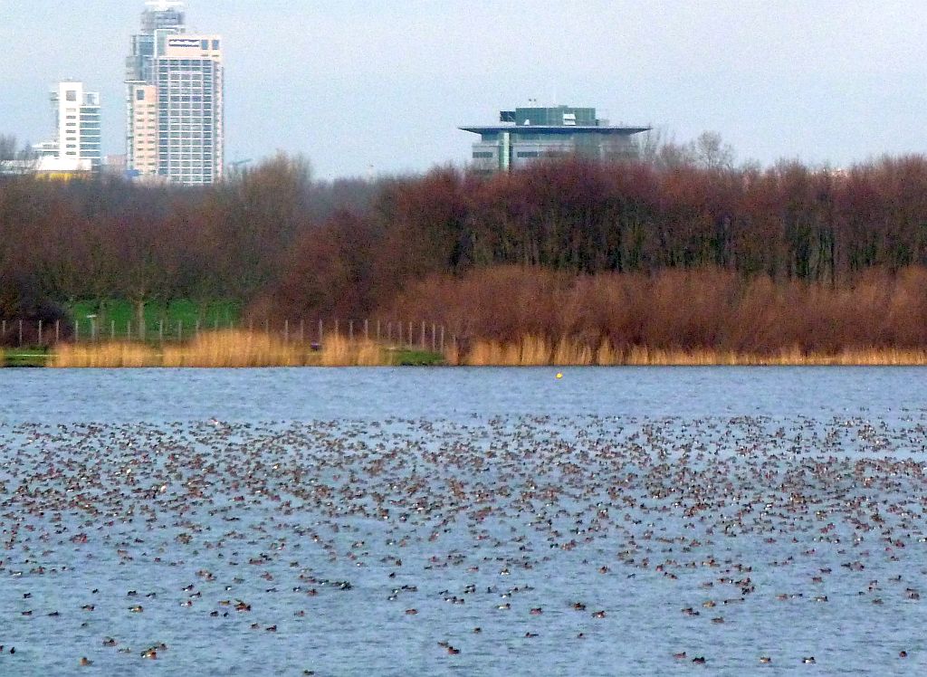 Ouderkerkerplas - Amsterdam