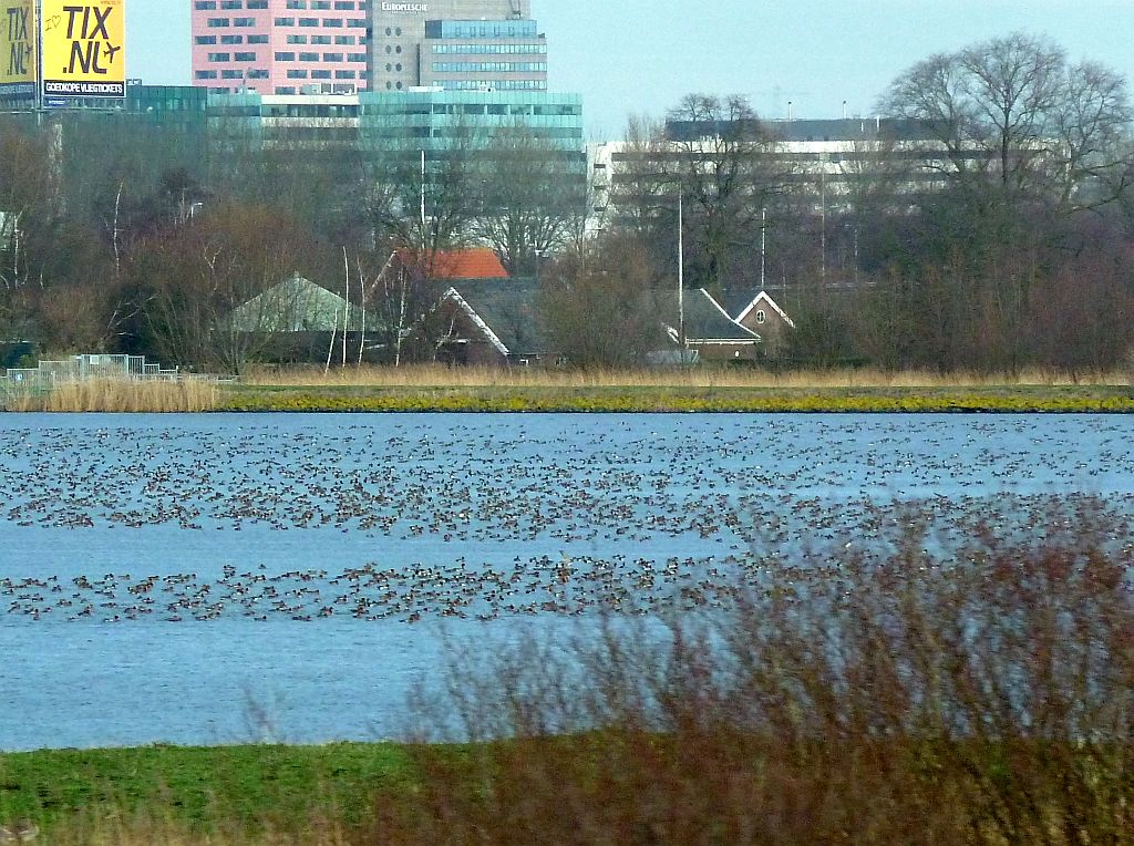 Ouderkerkerplas - Amsterdam