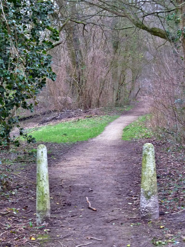 Nieuwe Kalfjeslaan - Amsterdam