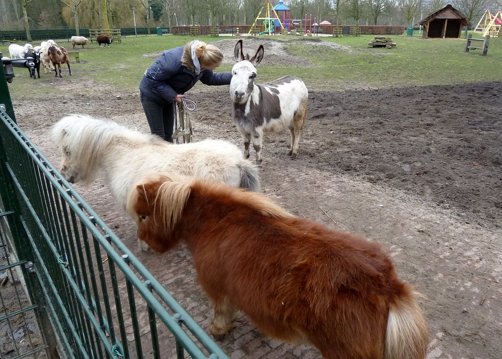 Stadsboerderij de Amsteldieren - Amsterdam