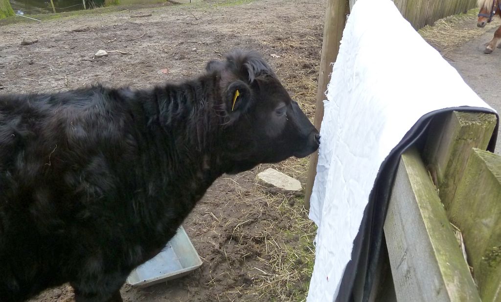 Stadsboerderij de Amsteldieren - Amsterdam
