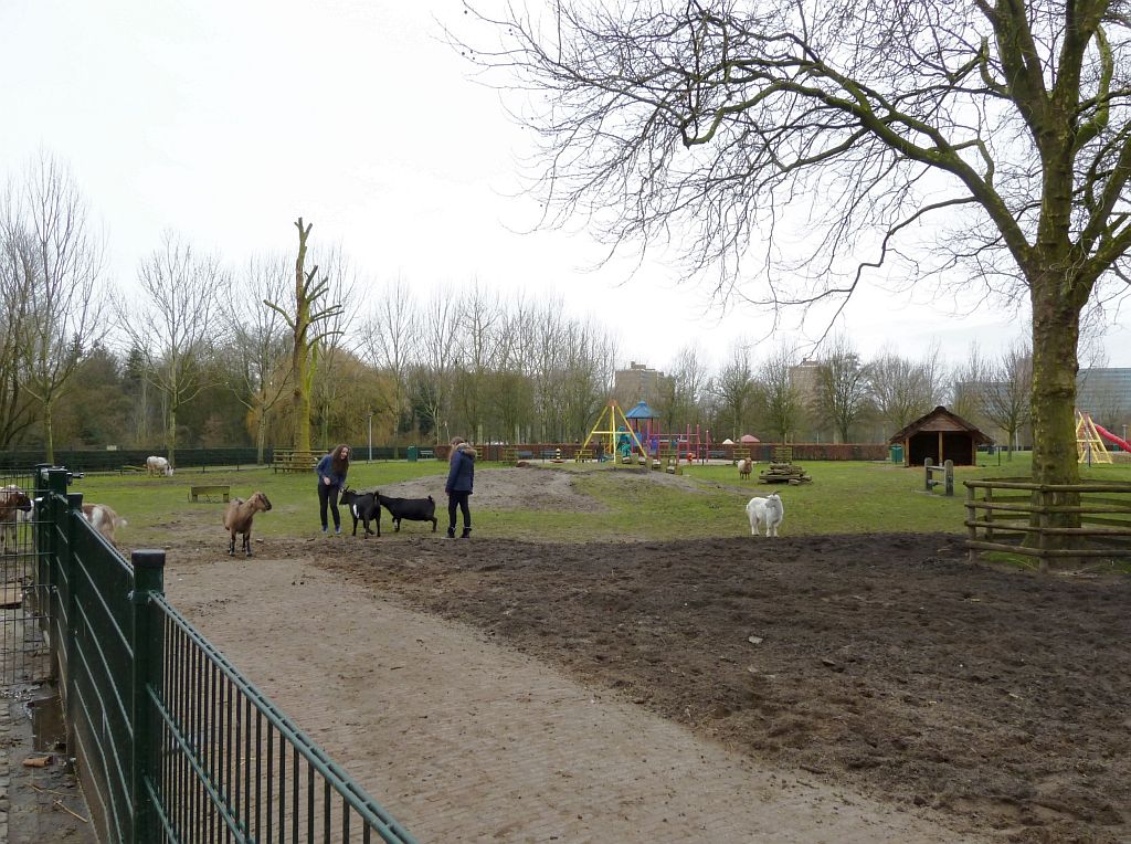 Stadsboerderij de Amsteldieren - Amsterdam