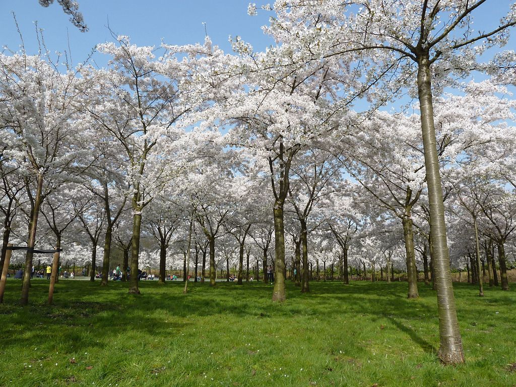 Bloesempark - Amsterdam