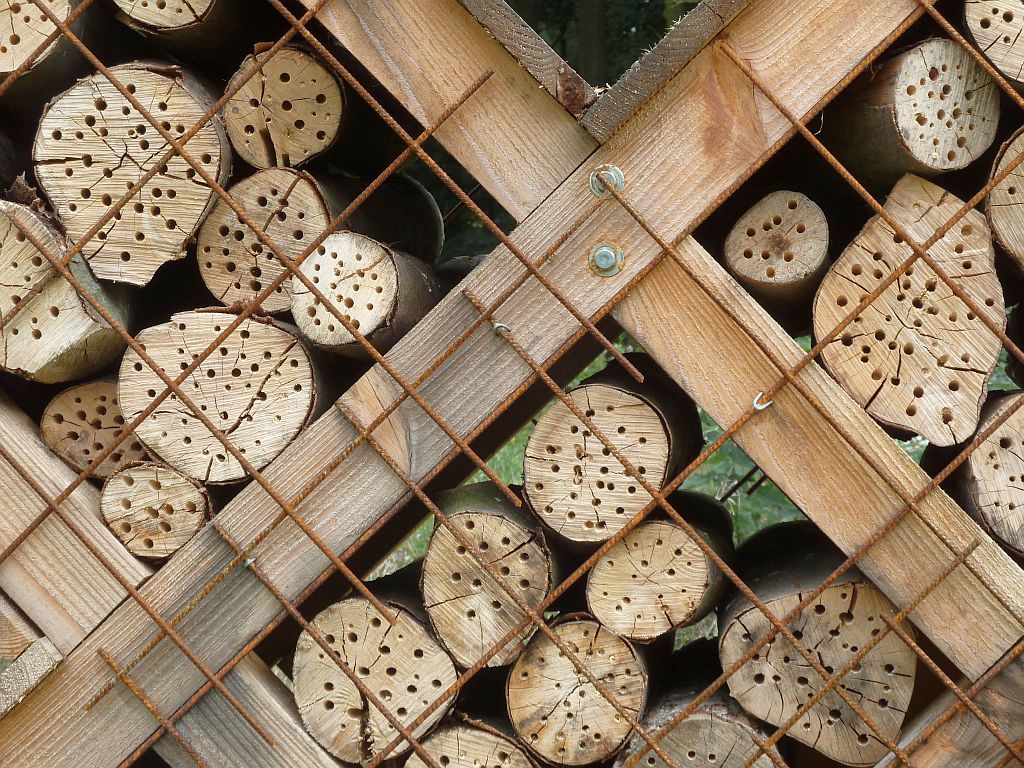 Insectenhotel van Serge Verheugen - Amsterdam