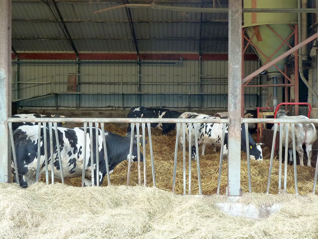 Paardensportcentrum Wennekers - Amsterdam