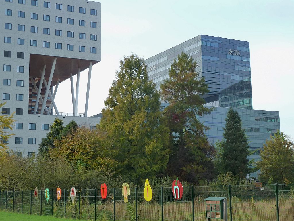 Dr. L. Alma - (School)Tuin - Amsterdam