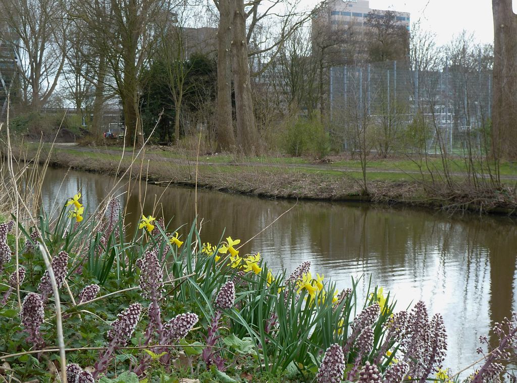 Taludweg - Amsterdam