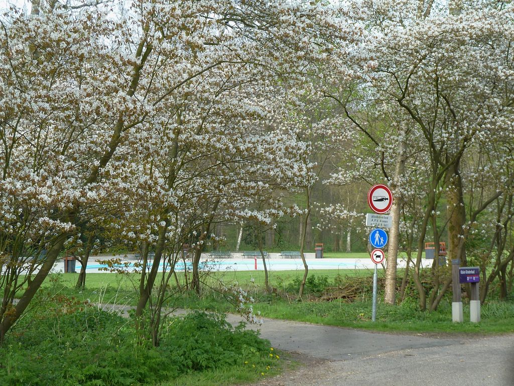 Klein Kinderbad - Krentenboom - Amsterdam