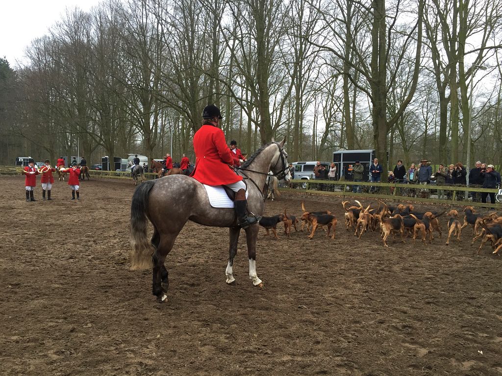 Slipjacht2015 - Amsterdam