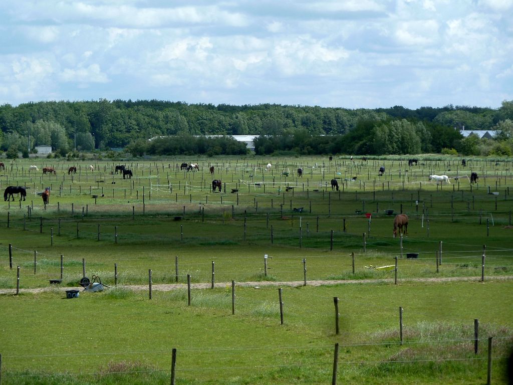 Paardensportcentrum Wennekers - Amsterdam