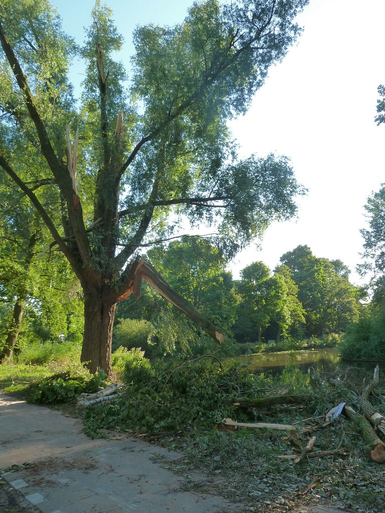 Zomerstorm 2015 - Amsterdam