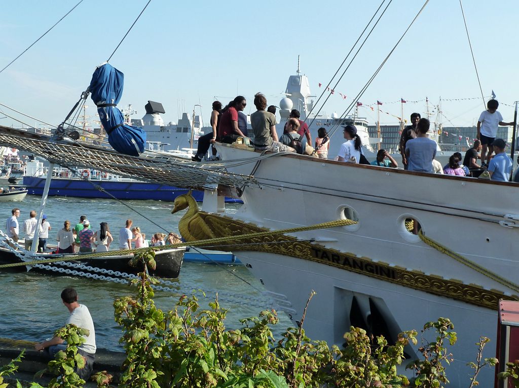 Sail 2015 - Tarangini - Amsterdam