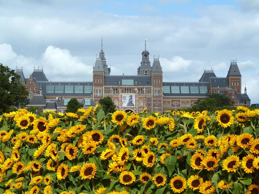 Van Gogh Museum - 125.000 Zonnebloemen ivm Opening Entree en Rijksmuseum - Amsterdam