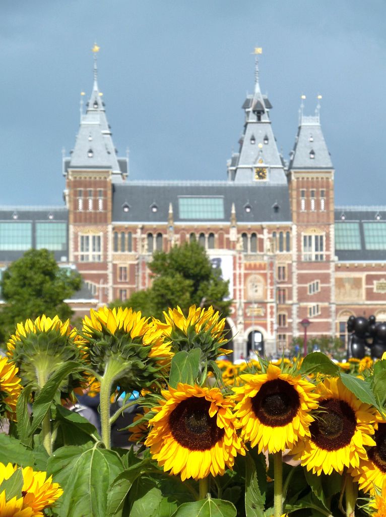 Van Gogh Museum - 125.000 Zonnebloemen ivm Opening Entree en Rijksmuseum - Amsterdam