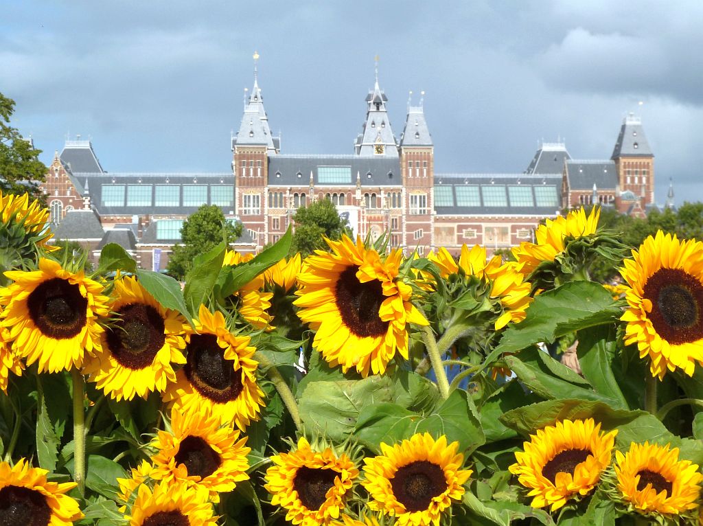 Van Gogh Museum - 125.000 Zonnebloemen ivm Opening Entree en Rijksmuseum - Amsterdam