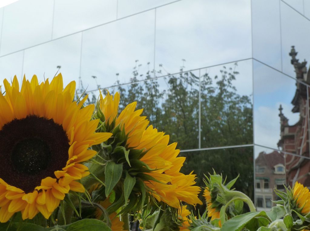 Van Gogh Museum - 125.000 Zonnebloemen ivm Opening Entree - Amsterdam