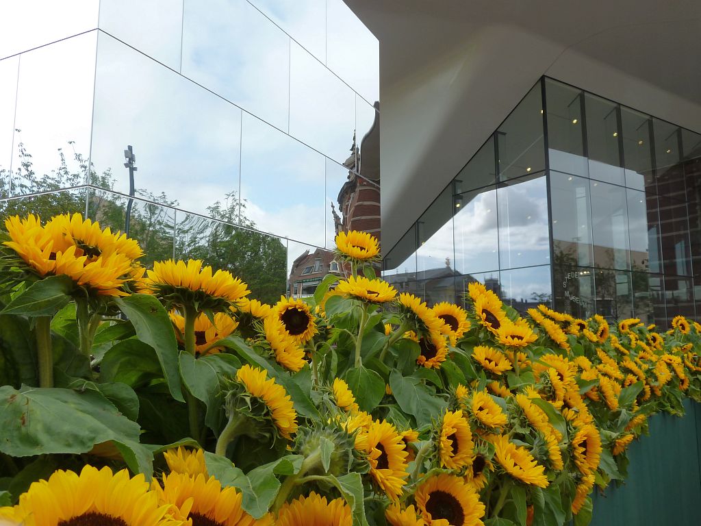 Van Gogh Museum - 125.000 Zonnebloemen ivm Opening Entree en Stedelijk Museum - Amsterdam