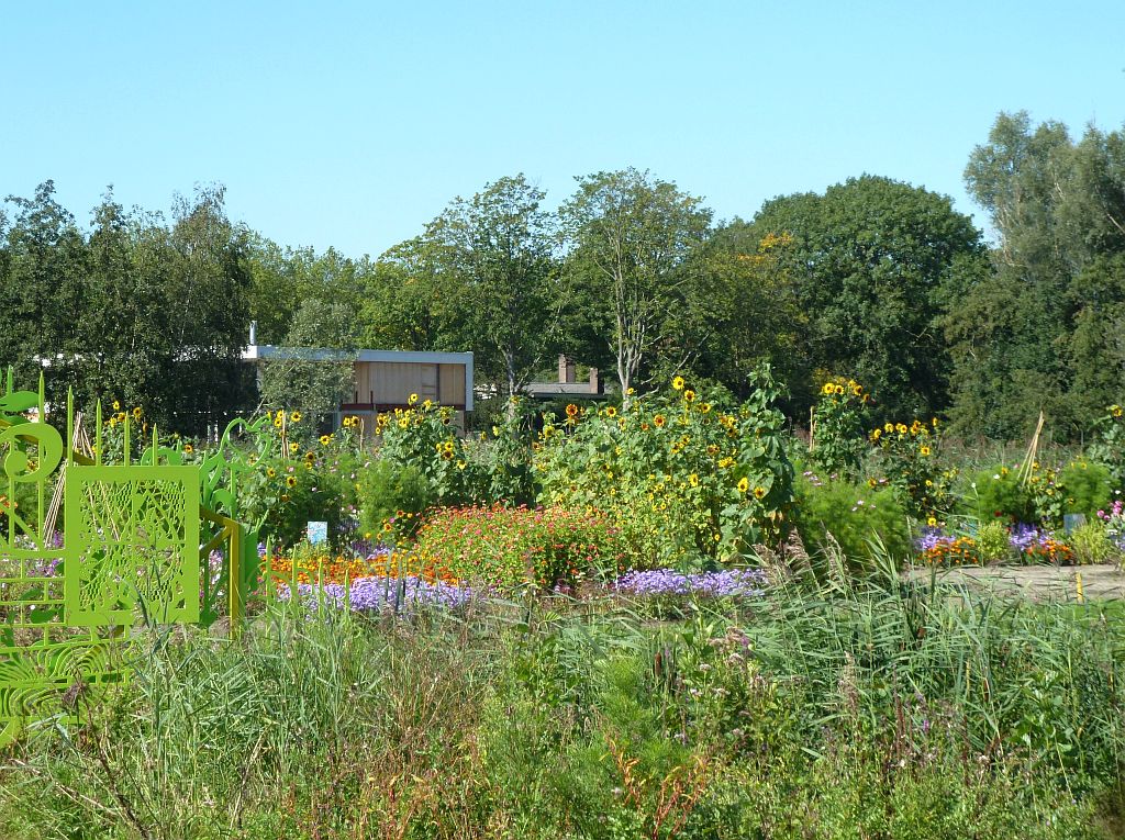 Aemstel Schooltuin - Amsterdam