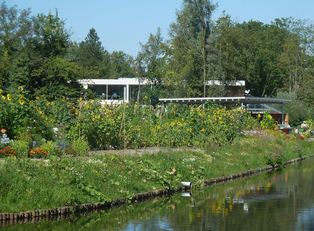 Aemstel Schooltuin - Amsterdam