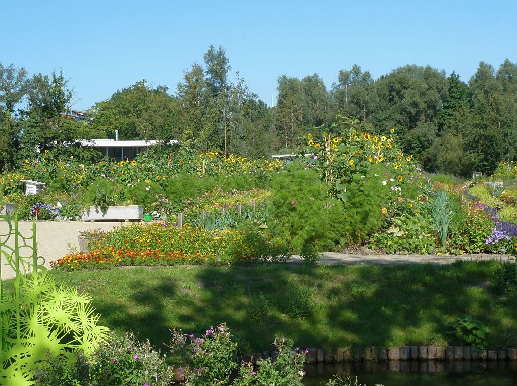 Aemstel Schooltuin - Amsterdam
