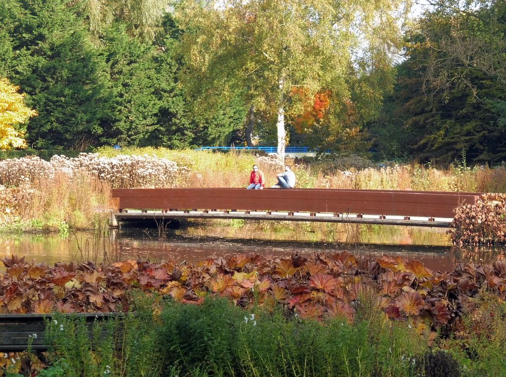 Brug 433 - Vaste plantentuin - Amsterdam