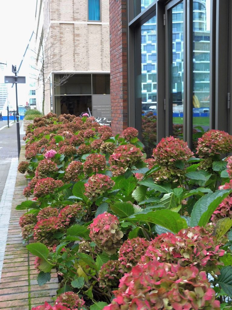 George Gershwinlaan - Crowne Plaza Hotel Zuidas - Amsterdam