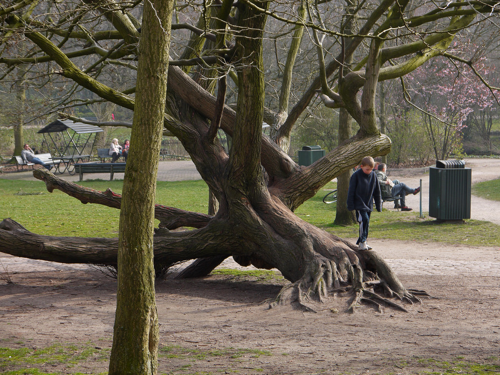 Sarphatipark - Amsterdam