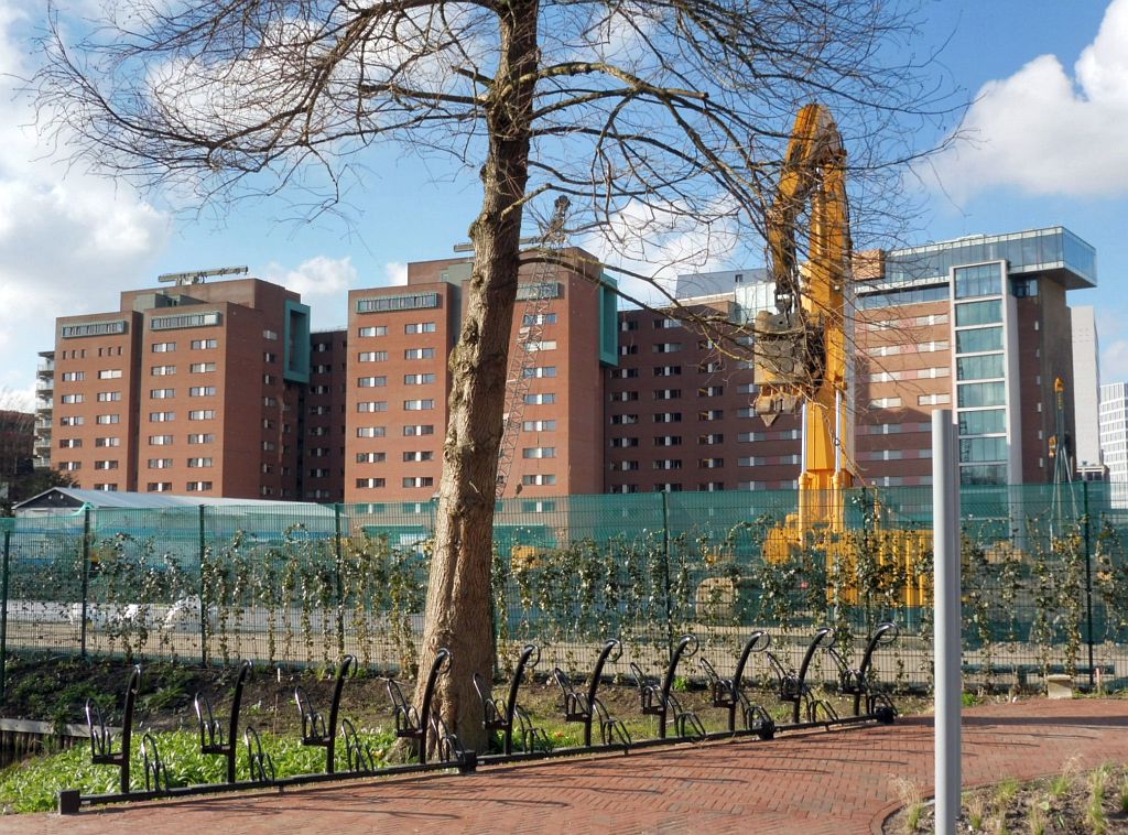 Vrije Universiteit Medisch Centrum - Amsterdam