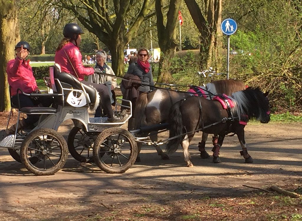 Onderlinge Samengestelde Menwedstrijd 2016 - Amsterdam