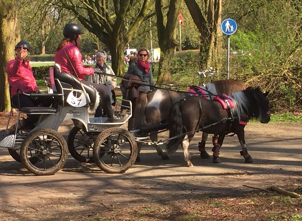 Onderlinge Samengestelde Menwedstrijd 2016 - Amsterdam