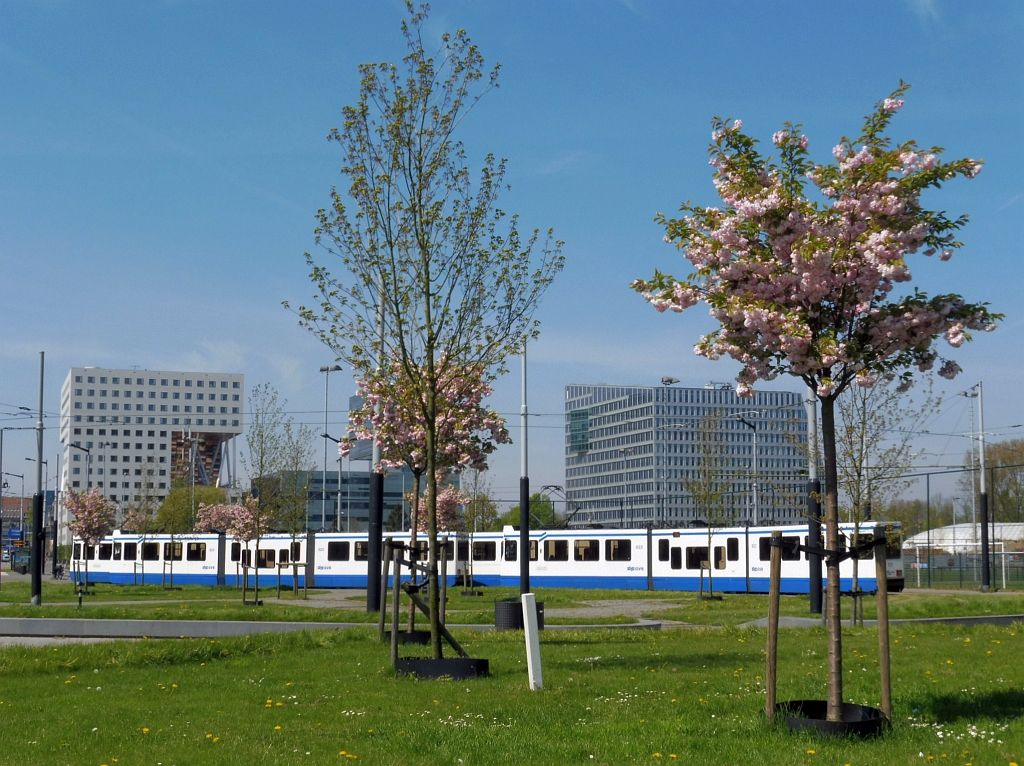 Tramlus - Eindhalte tramlijn 16 en 24 - Amsterdam