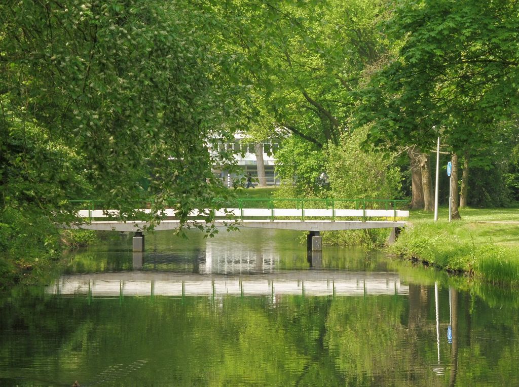 Brug 830 - Amsterdam