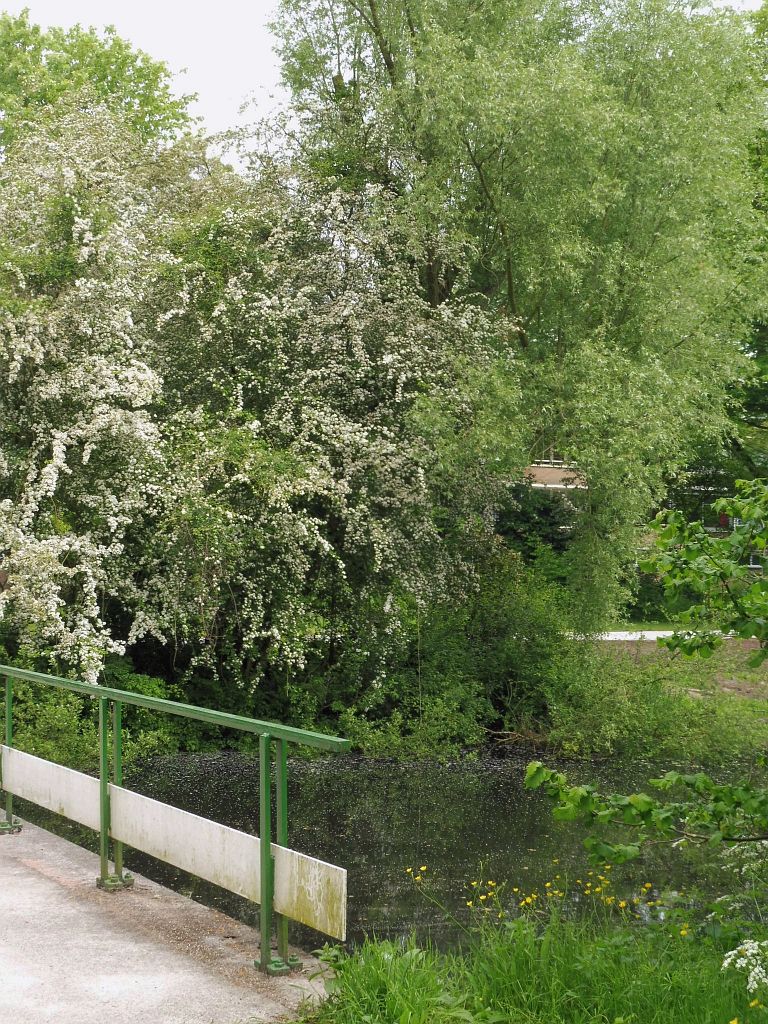 Brug 828 - Amsterdam