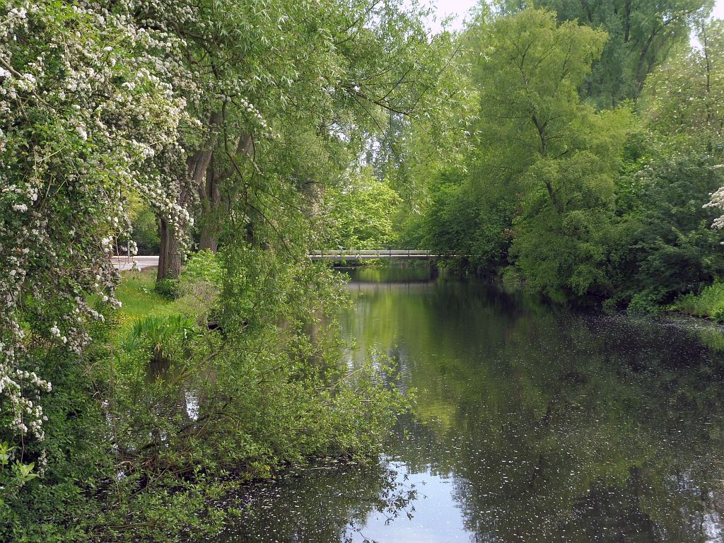 Brug 832 - Amsterdam