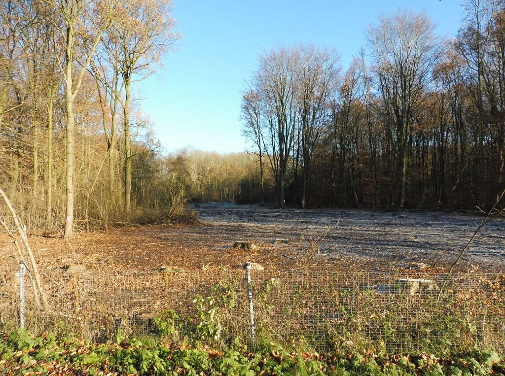 Ecologische Verbindingszone Bosrandweg - Aanleg - Amsterdam