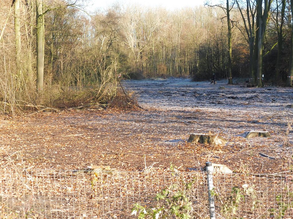 Ecologische Verbindingszone Bosrandweg - Aanleg - Amsterdam
