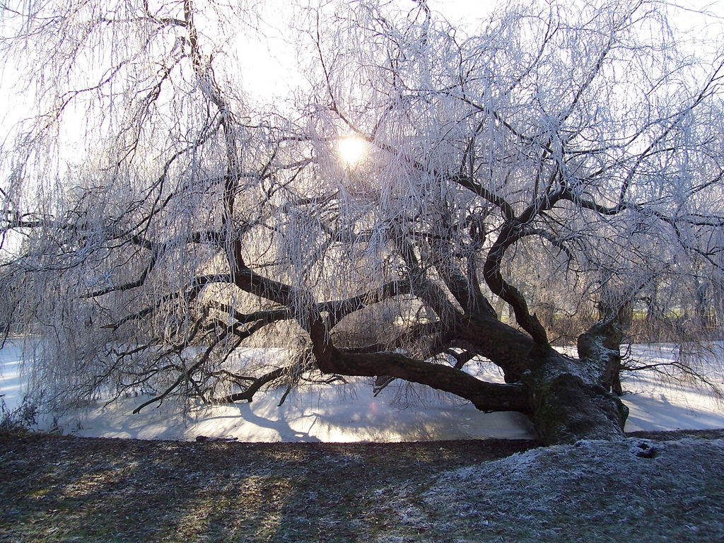 Noordlus - Amsterdam