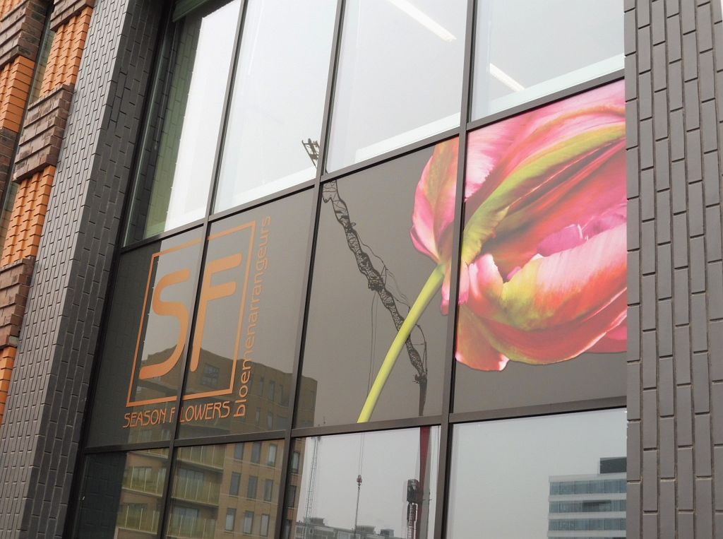 Symphony - Season Flowers - Amsterdam