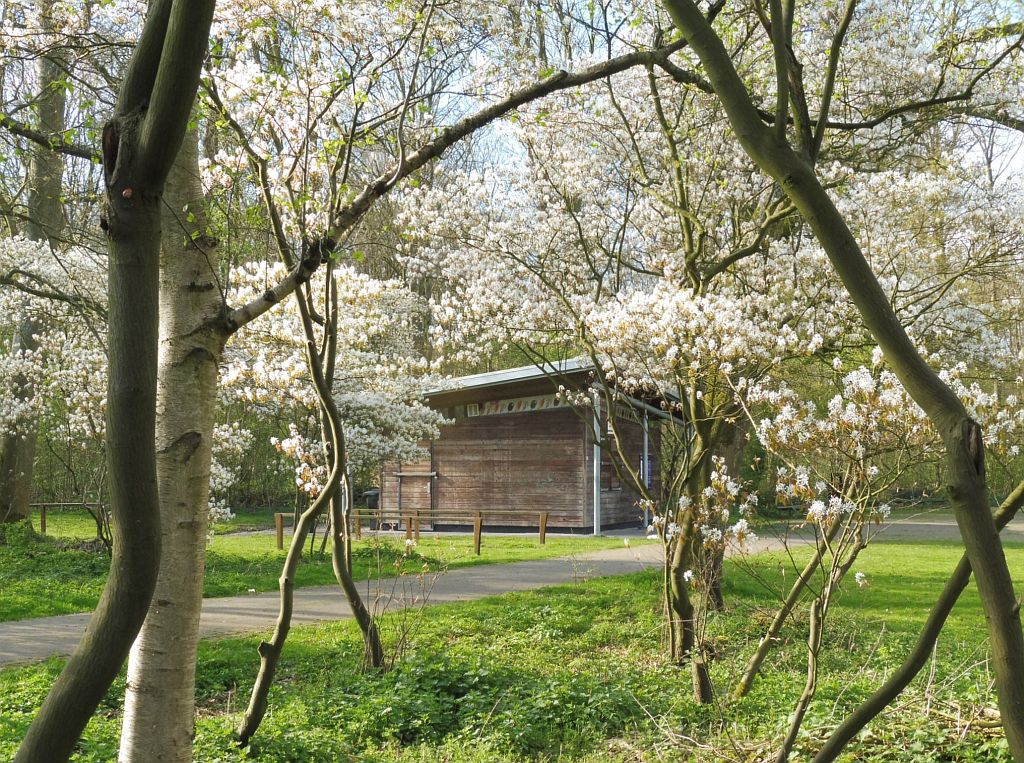 Klein Kinderbad - Krentenboom - Amsterdam