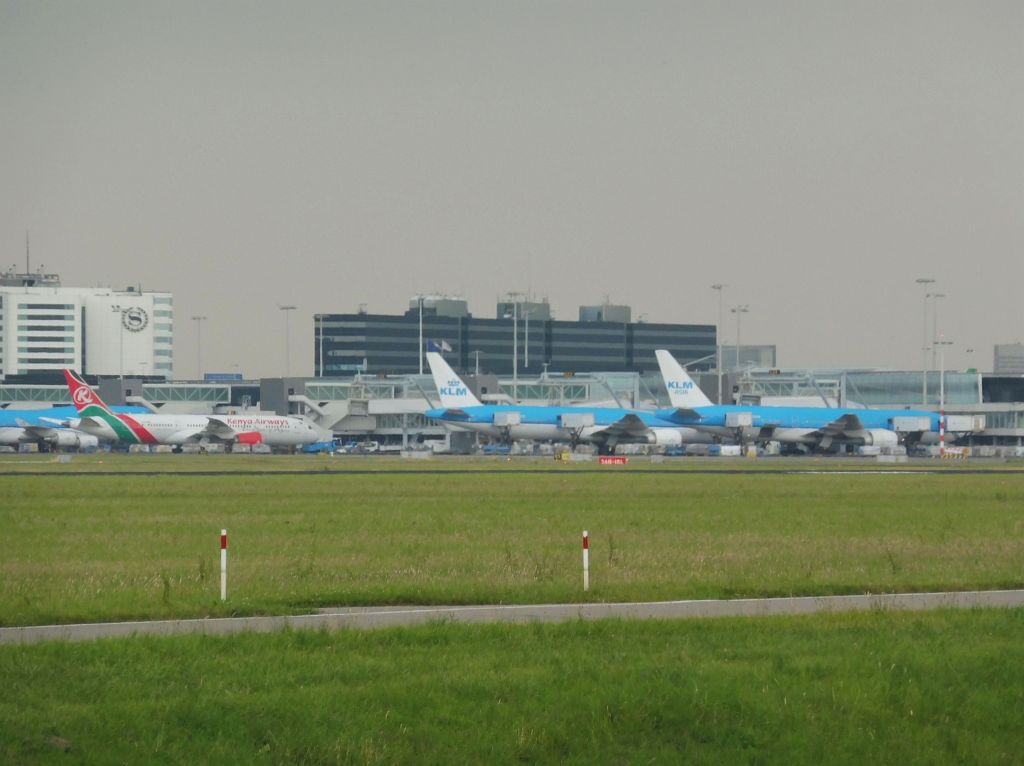 D-E Platform - Amsterdam