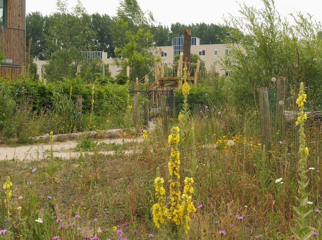 Kindercampus Zuidas Tuin - Amsterdam