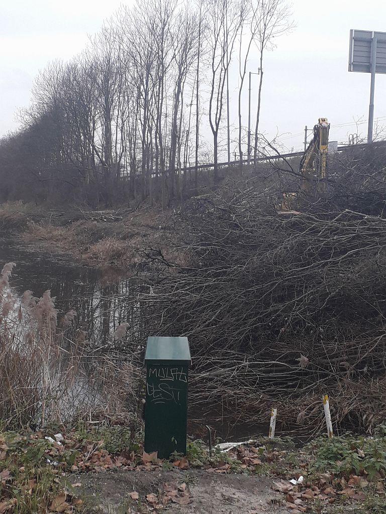 Ringweg A10 Zuid - Bomenkap voor Zuidasdok - Amsterdam